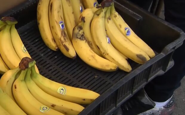 Бананы. Фото: скрин youtube