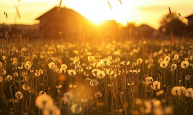 Одесситы открыли уникальные двери к солнцу