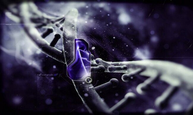 Нобелевскую премию по химии получили за изменение ДНК