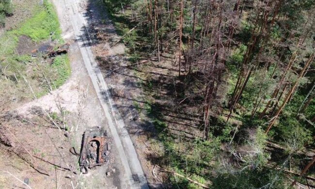 На Житомирщине оккупанты обстреляли леса, ущерб окружающей среде от пожаров, возникших в результате составили более 36,7 млн гривен
