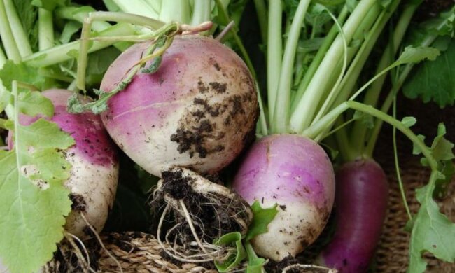 13 серпня: чим запам'ятається цей день