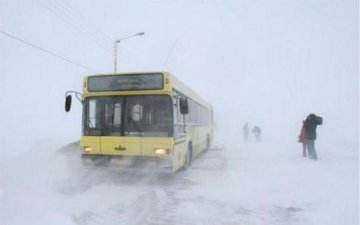 В холоде и без еды: автобус с детьми попал в снежную западню