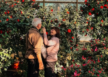 Українці, пенсіонери, фото із соцмереж