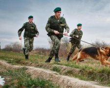 Більше тисячі незаконних мігрантів затримали на кордоні з Україною