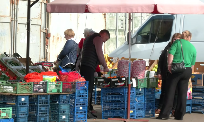 Ранние овощи. Фото: скрин youtube