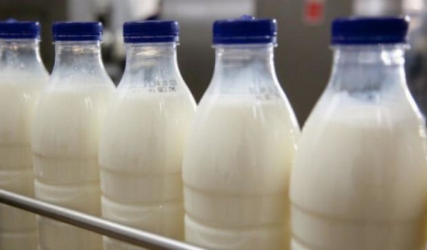 Украинское молоко будут поставлять в Китай