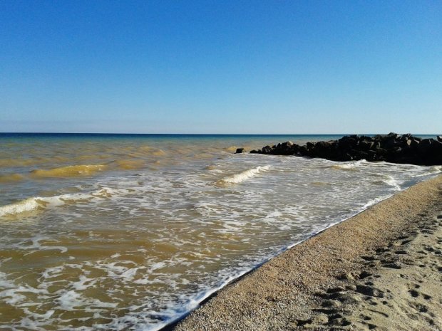 На побережье Азовского моря найдены десятки трупов: гибнут целыми семьями