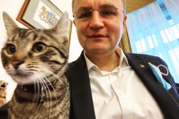 Скрін, Instagram кіт Садового