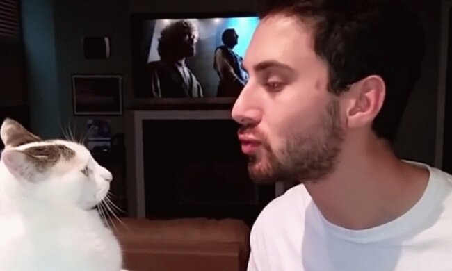 Кіт-боксер відлупцював чоловіка через поцілунок (відео)