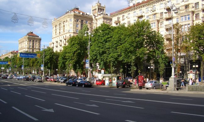 Визитная карточка Киева расцвела на глазах у всей страны: чарующие кадры аномалии