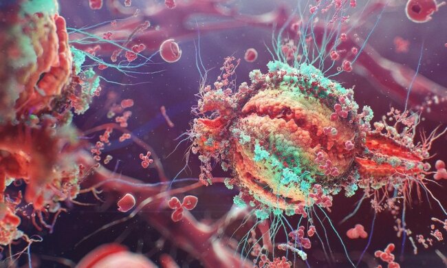 Інфекція, фото: Пикабу