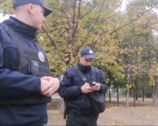 В Днепре стая бродячих псов набросилась на ребенка, горожане в ярости - "Зачем подкармливать?"