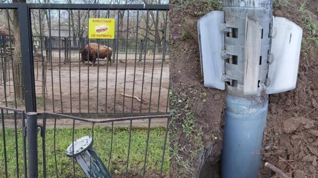 Миколаївський зоопарк, фото: Facebook
