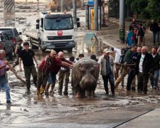  Миколаївський зоопарк "поділиться" тваринами з тбіліським