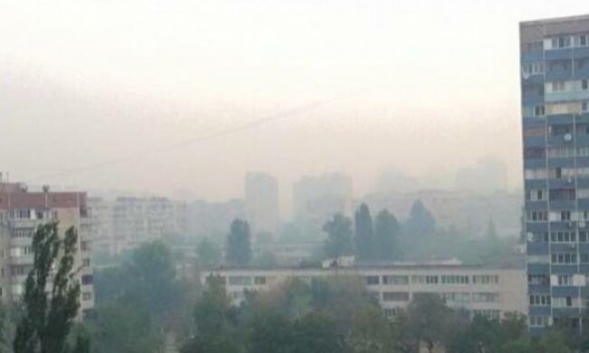 Столицу затянуло серым дымом (фото)