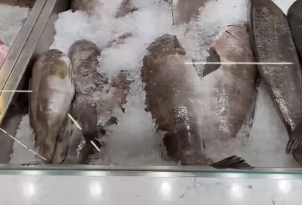 Риба на прилавку. Фото: скриншот з відео