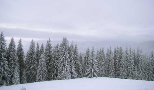 Сніг знеструмив 80 населених пунктів на Івано-Франківщині