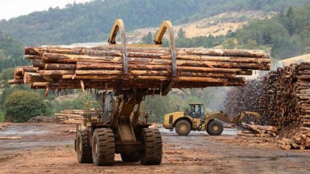 Правительству Гройсмана в дискуссии с Евросоюзом по экспорту леса нужно показать зубы, нужно уметь огрызаться – экономист