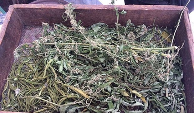 Полиция изъяла опий и марихуану стоимостью 200 тысяч гривен (фото)