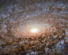 Телескоп Hubble сделал снимок "мягенькой" галактики (фото)