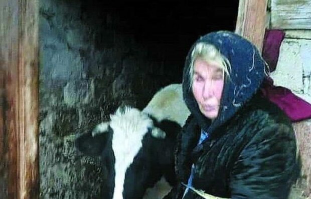На Львівщині зупинилося серце заслуженої доярки: жила і вмирала в хліві серед корів