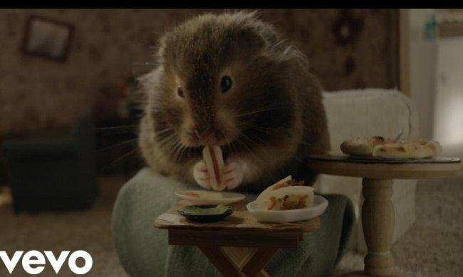 Хом'ячок в ляльковому будиночку став зіркою кліпу Кеті Перрі