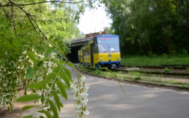 Автохам заблокировал движение киевских трамваев