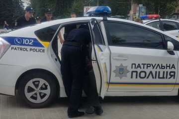 патрульна поліція, скріншот з відео