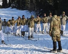Навчання НАТО Північна зірка