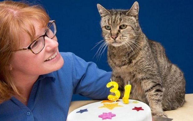 У Британії помер найстаріший кіт світу