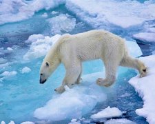 Глобальне потепління: дослідники планують штучно заморозити Арктику