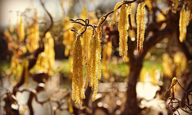 Погода в Украине, фото: pixabay