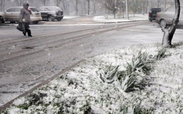 Погода 29 березня: весна ще трохи познущається з українців