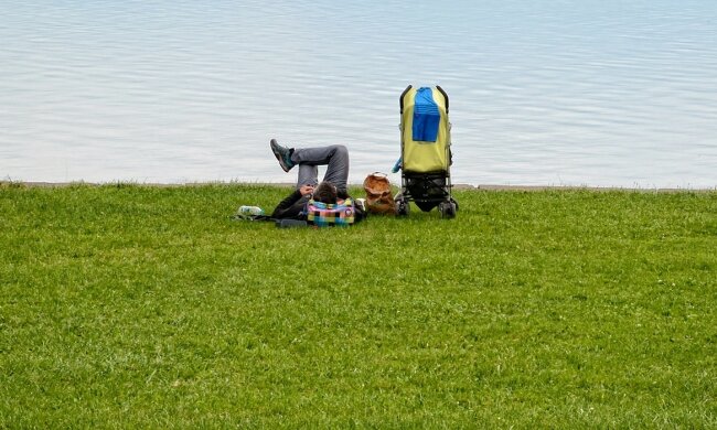 аліменти, фото Pxhere