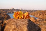 Погода в Запоріжжі 2 листопада: осінь побалує місто сонячним днем, але недовго