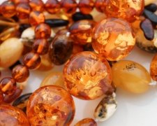 СБУ затримала ватажка рівненської "бурштинової мафії"