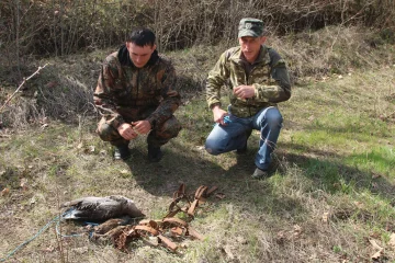 Тузловські лимани
