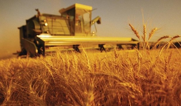 Аграрии теряют $600 млн в год из-за неэффективной логистики