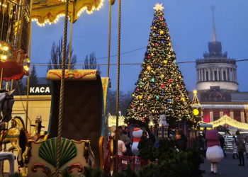 Українці, Новий рік, ВДНГ, фото із соцмереж