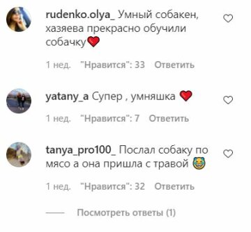 Коментарі до публікації, скріншот: Instagram