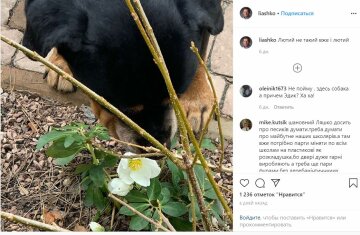 Публікація Олега Ляшка, Instagram