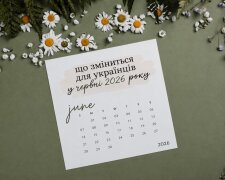 Пенсии и гранты в Украине: изменения с июня 2026