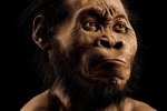 Кости возрастом 3 миллиона лет заставили ученых пересмотреть языковую теорию
