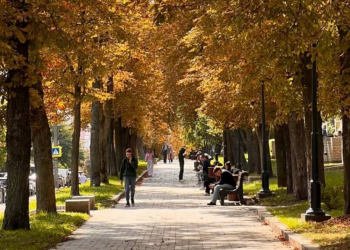 Украинцы, осень, фото из соцсетей