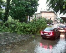 Семеро львів'ян викинули автівки після пекельної бурі - прощавайте, крихітки