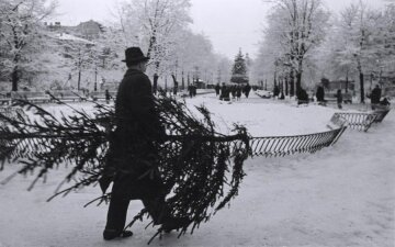 Зимний Львов 1960 года, фото: lviv.in.ua