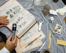 Нейросеть расшифровала самую загадочную рукопись древности