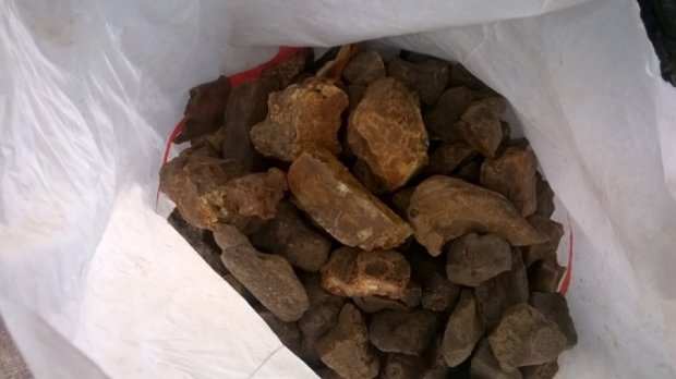 На Рівненщині правоохоронці вилучили 12,6 кг бурштину 