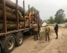 Харкiвськi чиновники прогорiли на мерзеннiй схемi, рубали мiльйони: Зеленському варто навiдатися ще