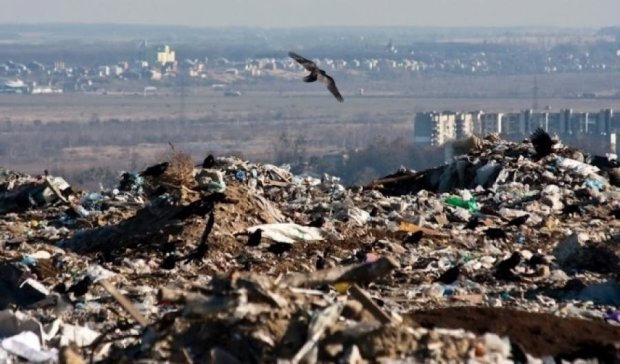 Українським сміттям можна накрити Данію